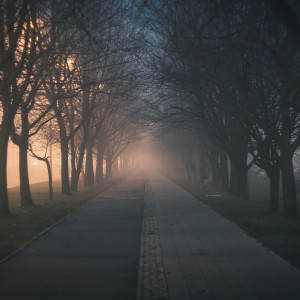 Listen to You Are the Reason song with lyrics from Deep Sleep