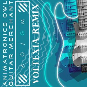 Listen to Guitar Merchant (Voltexia Remix) song with lyrics from Animatronics Owl