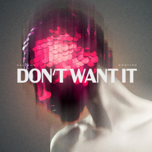 Hallman的專輯Don't Want It