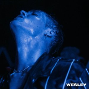 Album Wesley from Teesy