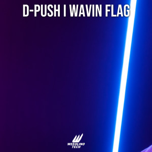 ดาวน์โหลดและฟังเพลง Wavin Flag พร้อมเนื้อเพลงจาก D-Push