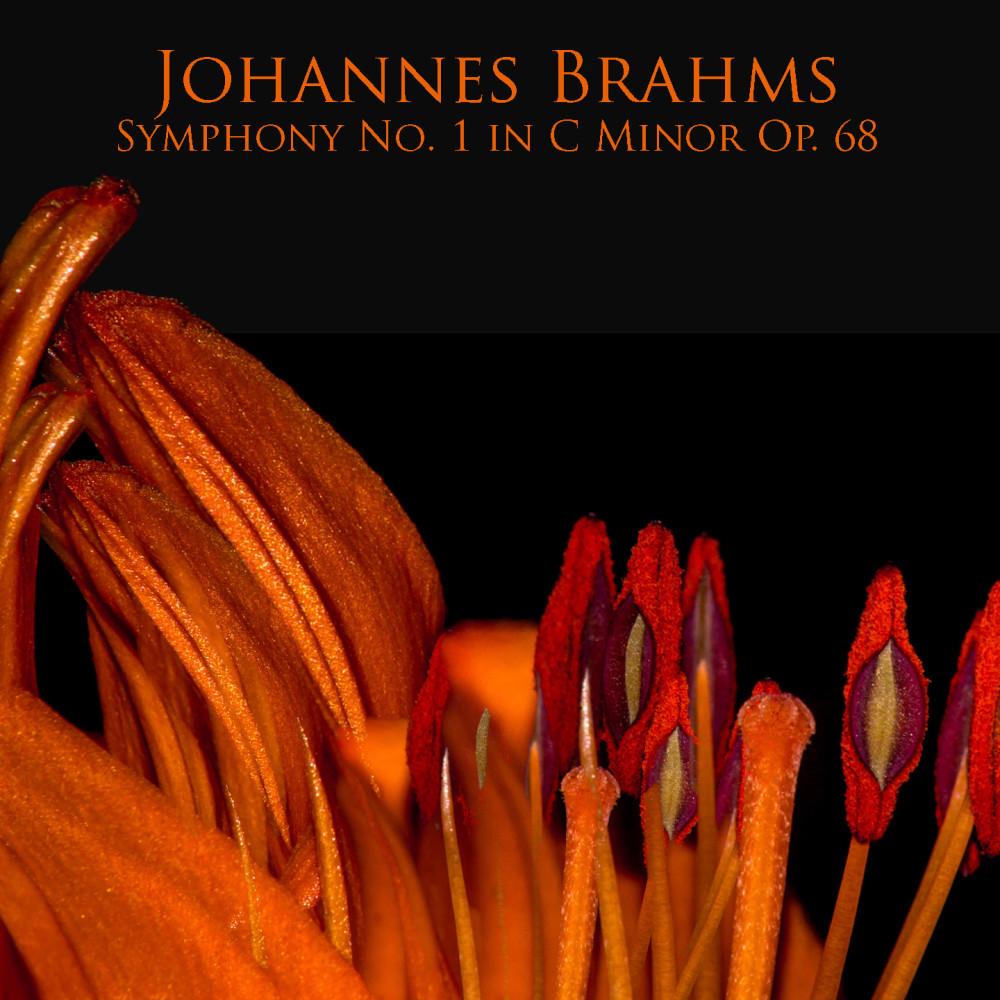 Symphony No.1 in C Minor, Op. 68: IV. Adagio - Più andante - Allegro non troppo, ma con brio
