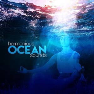 收聽Outside Broadcast Recordings的A Downpour on the Sea Shore歌詞歌曲