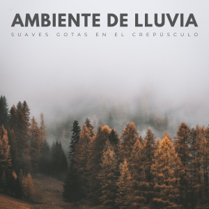 Sueño Encantado的专辑Ambiente De Lluvia: Suaves Gotas En El Crepúsculo