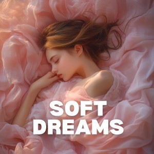 Album Soft Dreams from Various