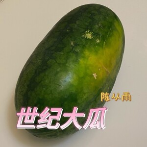 收聽陳從雨xiaoyu0的世紀大瓜 (完整版)歌詞歌曲