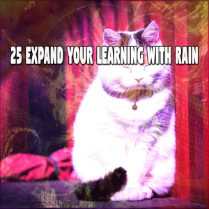Relaxing Thunderstorm的專輯25 Expand Your Learning with Rain