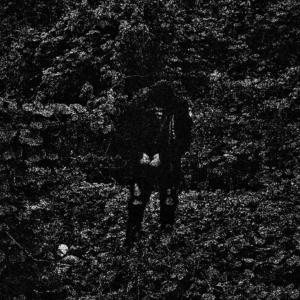 收聽SERAPHIM的sharing needles (feat. Everett Latte) (Explicit)歌詞歌曲