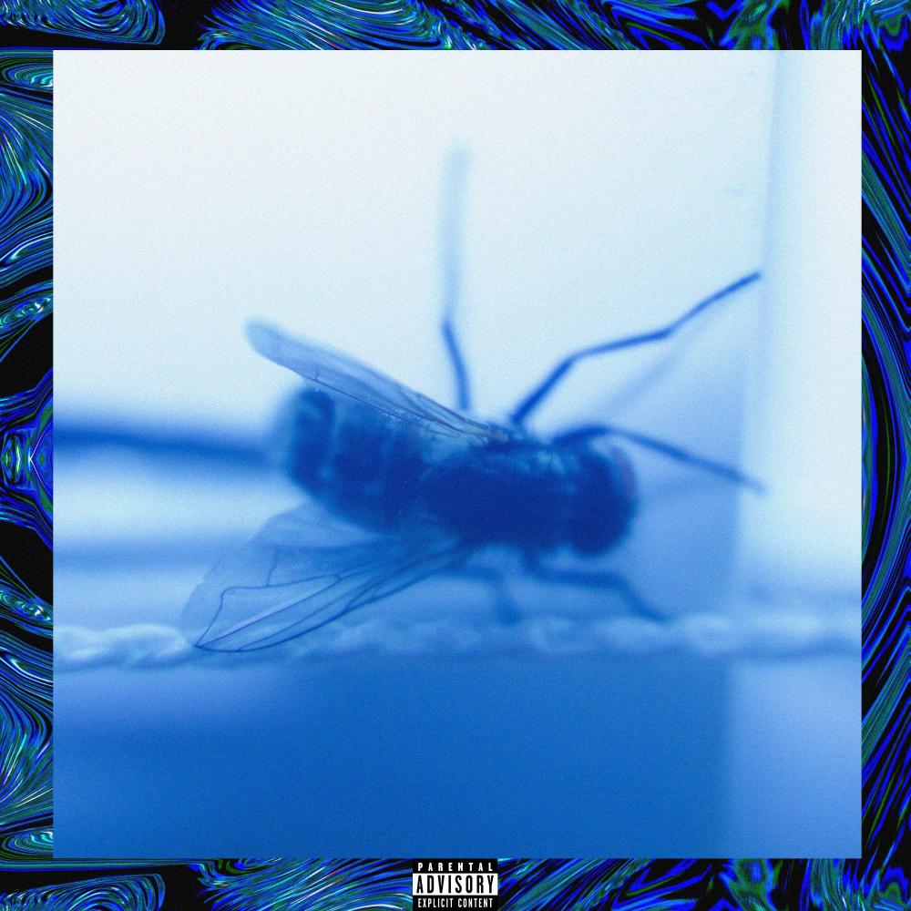 TOMI (Explicit)