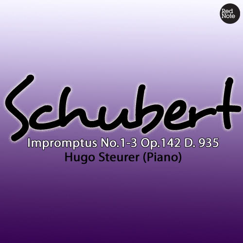 Impromptus No.1-3 , Op.142 / D. 935: Allegro moderato - Allegretto - Andante Tema con variazione