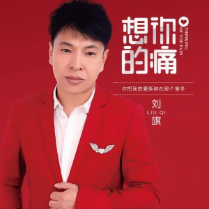 收聽劉旗的我有病你有藥嗎 (DJ版)歌詞歌曲