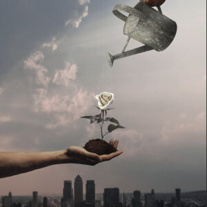 default playlist img