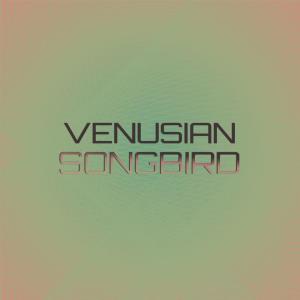 Dengarkan lagu Venusian Songbird nyanyian Ennie Haher dengan lirik