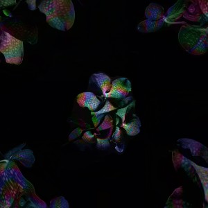 收聽XO的Divine Disaster歌詞歌曲