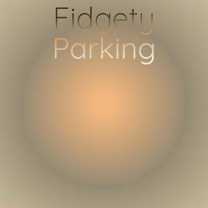 Various的专辑Fidgety Parking