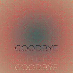 Album Goodbye Jimmy Goodbye from Silvia Natiello-Spiller