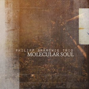 ดาวน์โหลดและฟังเพลง The Day I Found You พร้อมเนื้อเพลงจาก Philipp Brämswig Trio