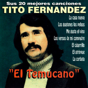 Album Sus 20 Mejores Canciones from Tito Fernández