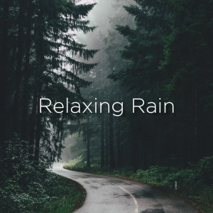 ดาวน์โหลดและฟังเพลง Relaxing Rain พร้อมเนื้อเพลงจาก Rain Sounds