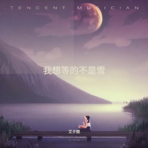 Album 我想等的不是雪(DJ九零版) from 艾夕燃