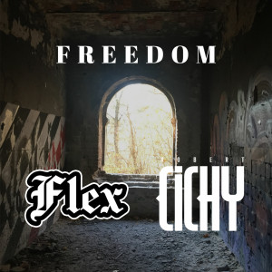 ดาวน์โหลดและฟังเพลง Freedom (Explicit) พร้อมเนื้อเพลงจาก Flex
