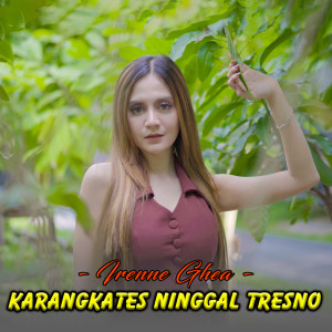收聽Irenne Ghea的Karangkates Ninggal Tresno歌詞歌曲