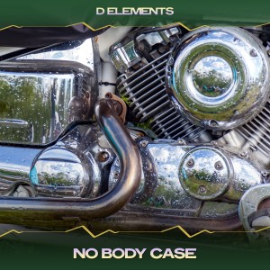 Album No Body Case from D Elements