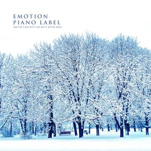 Various Artists的專輯Emotion Piano With Pure White Winter Mood