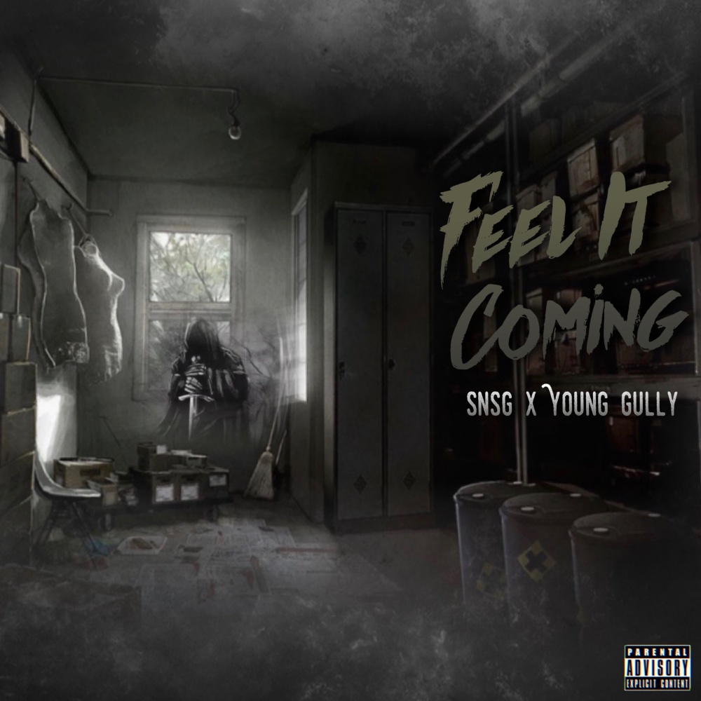 Feel It Coming (feat. Young Gully) (Explicit)