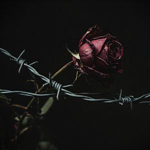 Listen to Her Love Is Like a Drug (feat. Ded Zed) (Explicit) song with lyrics from Big Jon