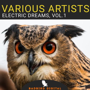 ดาวน์โหลดและฟังเพลง Vital Choice พร้อมเนื้อเพลงจาก Boot Leger