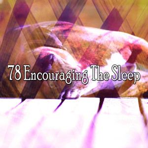 Einstein Baby Lullaby Academy的专辑78 Encouraging the Sleep