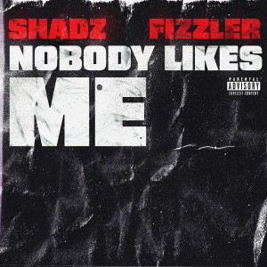 Listen to Nobody Likes Me (Explicit) song with lyrics from Fizzler