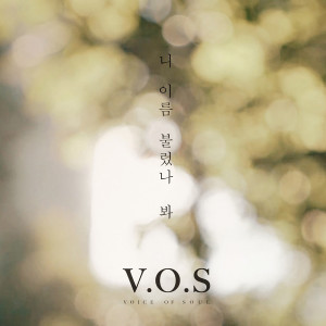 Album Call your name from V.O.S