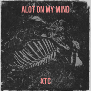 XTC的專輯Alot on My Mind (Explicit)