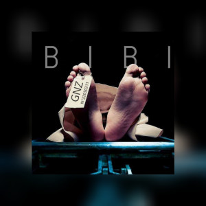 Listen to Bibi (Explicit) song with lyrics from GNZ