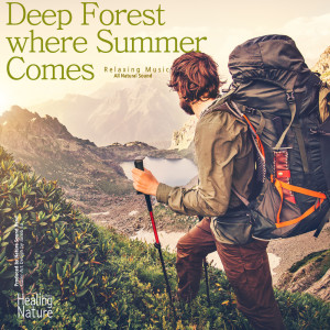Deep Forest Where Summer Comes (Relaxation, Relaxing Muisc, White Noise, Insomnia, Deep Sleep, Meditation, Concentration, Lullaby, Prenatal Care, Healing, Memorization, Yoga, Spa) dari Nature Sound Band