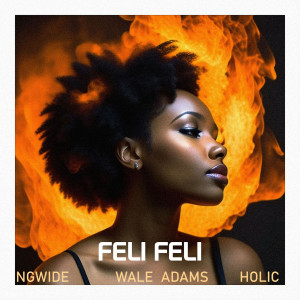 NGwide的专辑Feli Feli