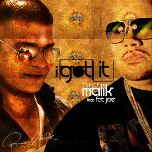 Listen to I Got It (feat. Fat Joe) song with lyrics from Prince Malik