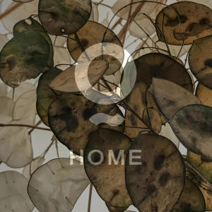 ดาวน์โหลดและฟังเพลง Home พร้อมเนื้อเพลงจาก Deniz Güngör
