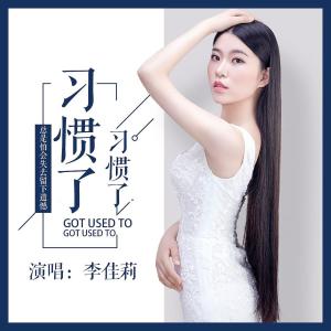 收聽李佳莉的習慣了習慣了 (伴奏)歌詞歌曲