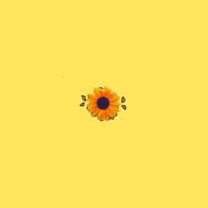 Album Obvious Lo-fi Boy (feat. Sahar) from 