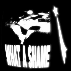 收聽usbHalo的what a shame (Explicit)歌詞歌曲