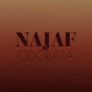 Listen to Najaf Odorata song with lyrics from Chelsi