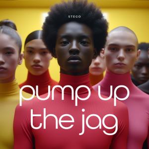 收聽Stego的Pump Up The Jag歌詞歌曲