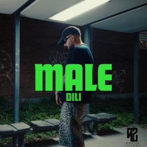 收聽Dili的MaLE歌詞歌曲