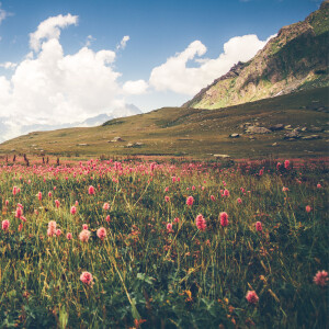 收聽Ossia的Baby Lullaby (Piano)歌詞歌曲