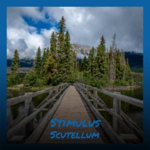Dengarkan Stimulus Scutellum lagu dari Hadi Thuli dengan lirik