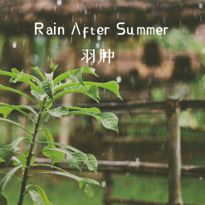 Album Rain After Summer from 羽肿