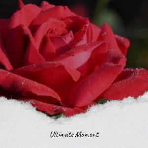 Album Ultimate Moment from Joee Walo